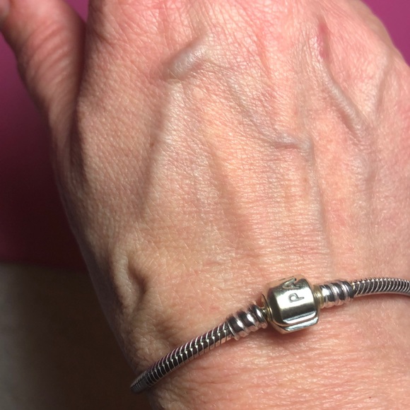 NWOT in Box Authentic Pandora Charm Bracelet - Picture 8 of 10